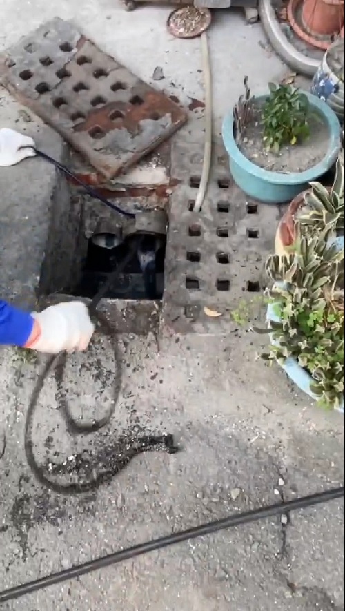 國姓鄉通水管-通水溝排水管,取出堵塞物 