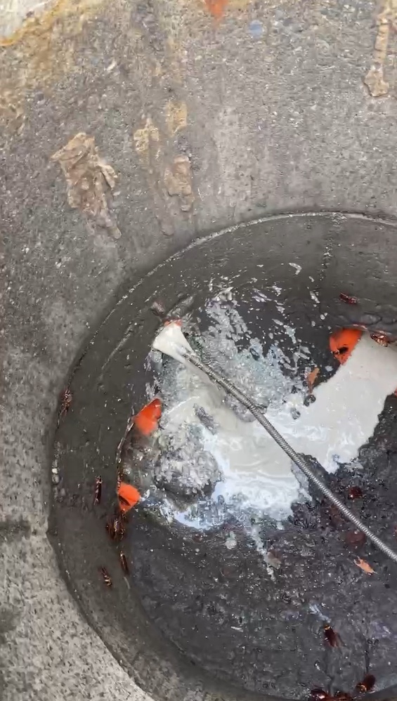 南投市餐廳廚房排水通管